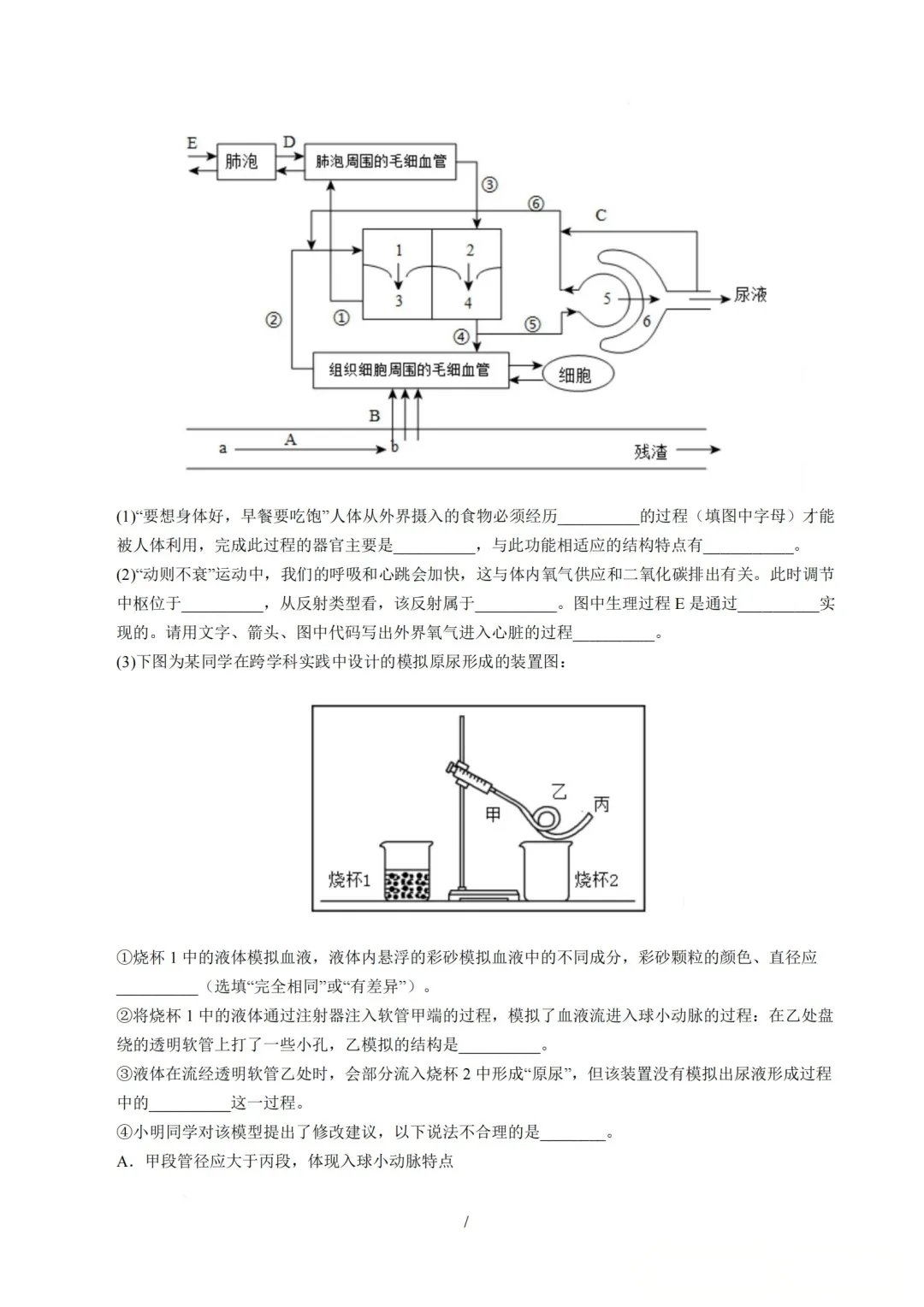 【生物】2026年山西中考考前适应性试卷 第7张