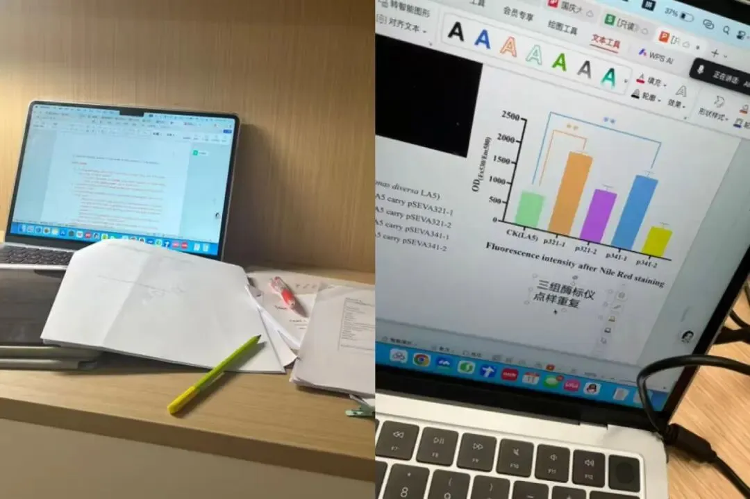 中考558分,雅思7.5:一个深高级国际部学生的真实分享 第5张