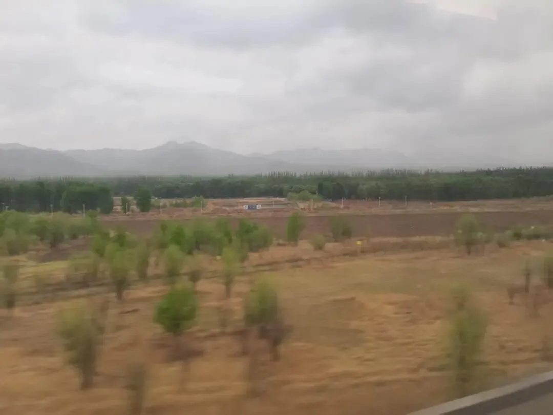 中考作文复习策略 第6张
