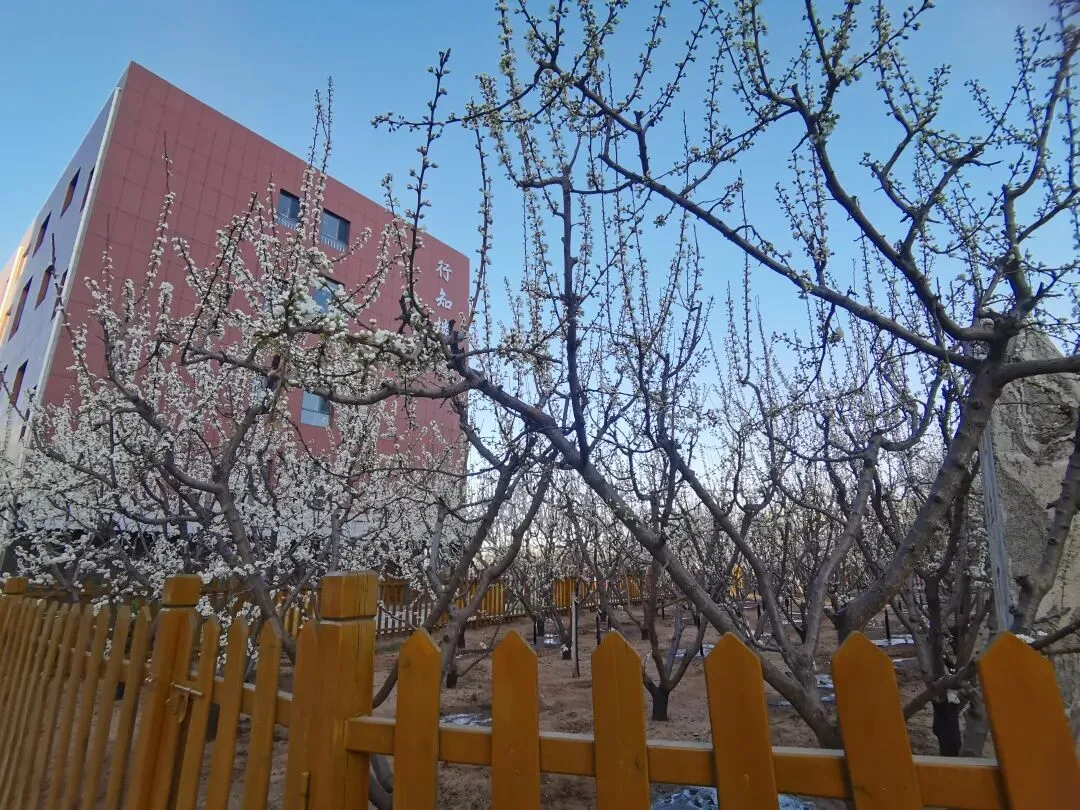 中考作文复习策略 第7张