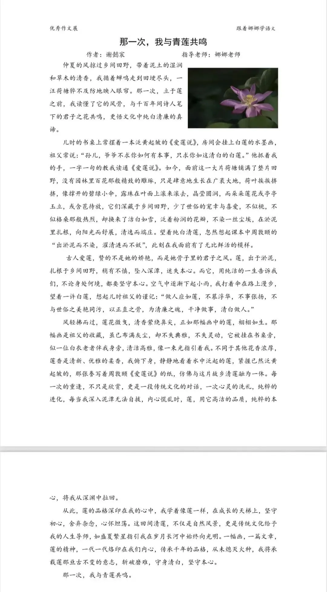 中考系列—传统文化主题美文欣赏 第5张