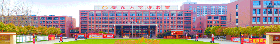 中考择校新思路:为什么安徽新东方成为安徽初三学子的 “高性价比” 之选? 第1张