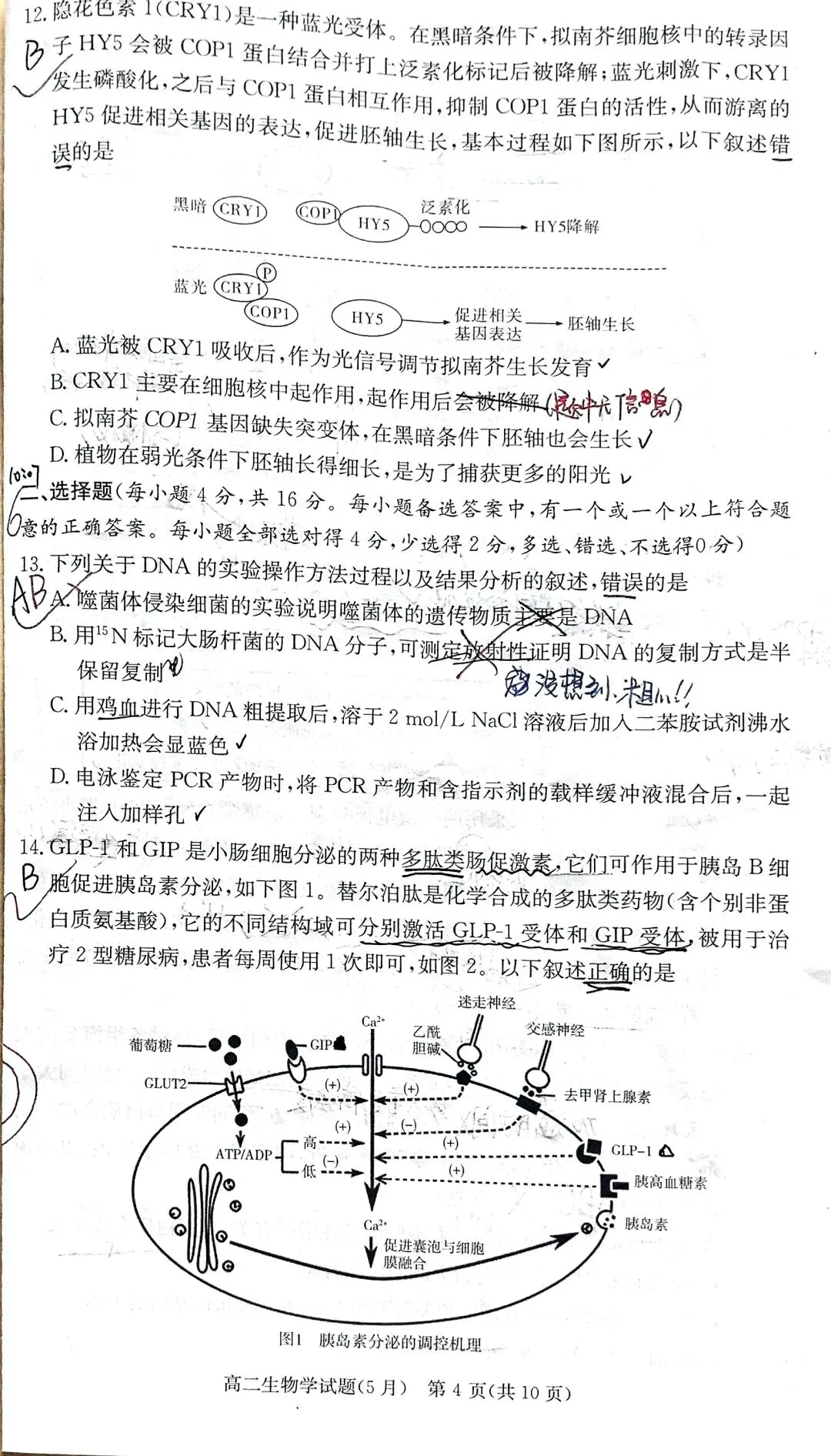 刚刚考完!高二生物期中试卷“翻车”现场,你看懂出题人的“坑”了吗? 第2张