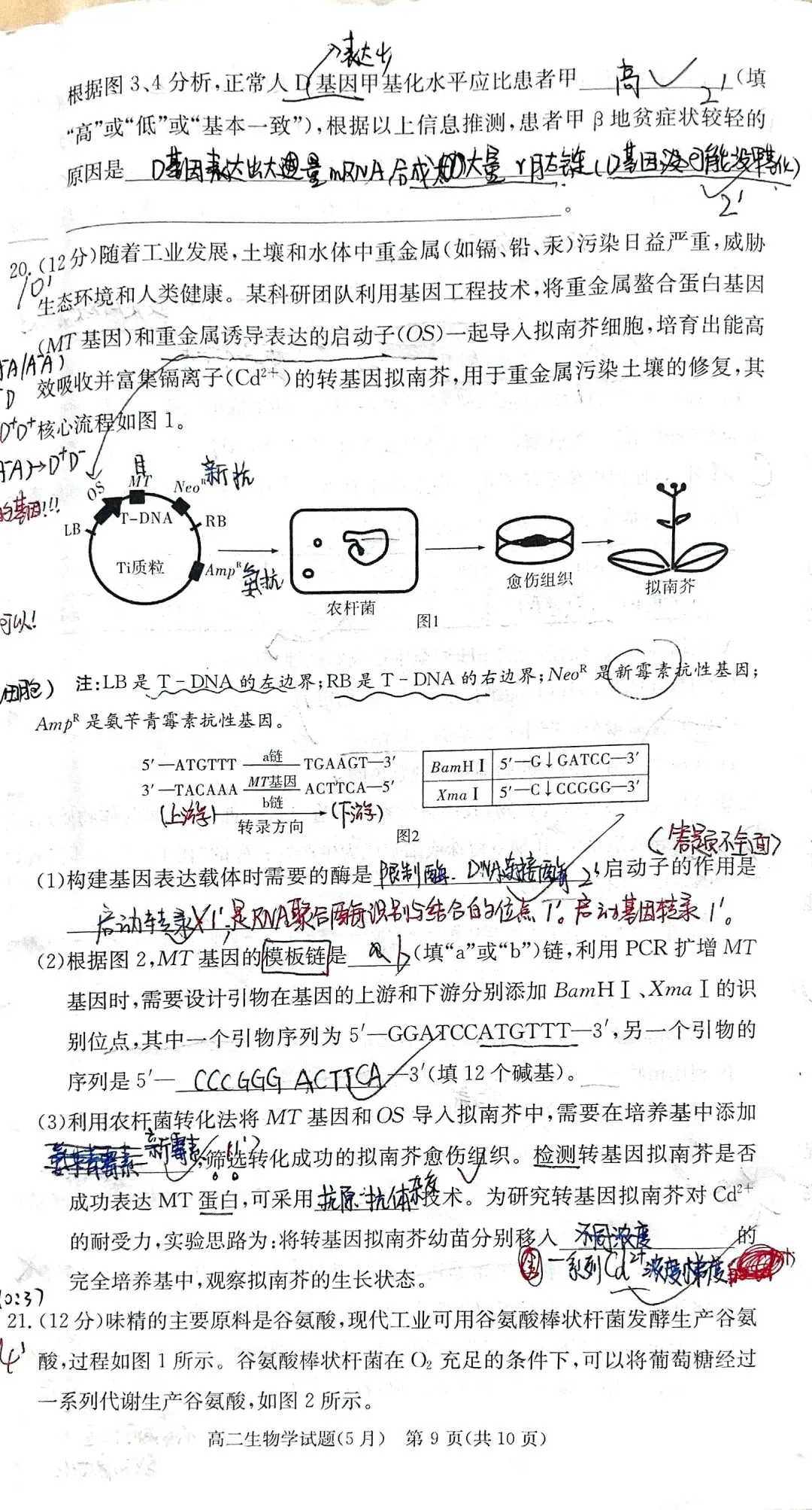 刚刚考完!高二生物期中试卷“翻车”现场,你看懂出题人的“坑”了吗? 第3张