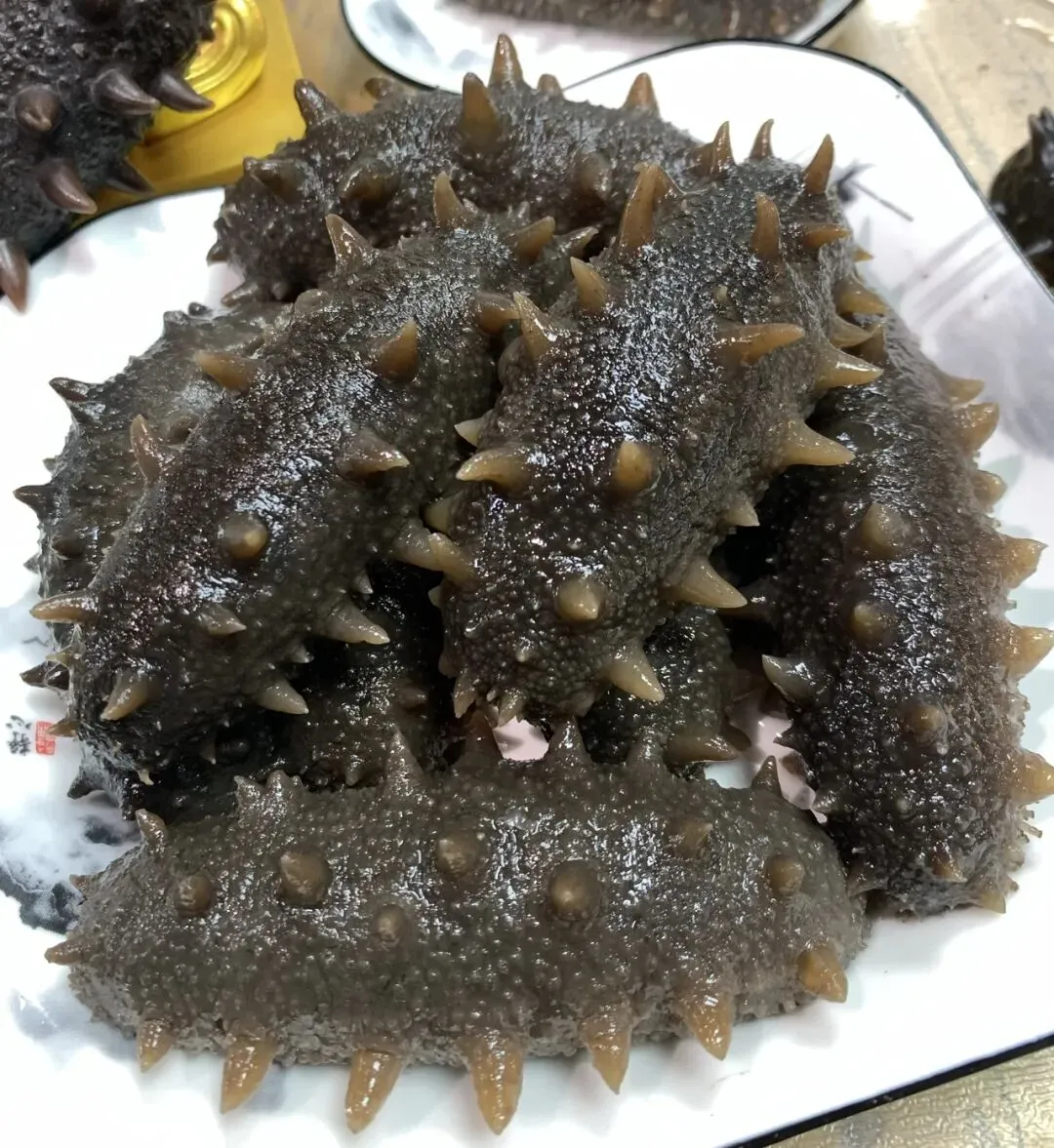 中考、高考倒计时,海参滋补要跟上!这几点变化让孩子受益一生! 第3张
