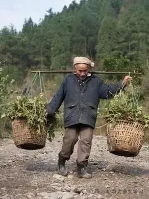 【中考阅读理解题71】现代文阅读《一碗捞面条》《父亲的背影》《山沟沟里的父亲》阅读考试题(含答案) 第4张