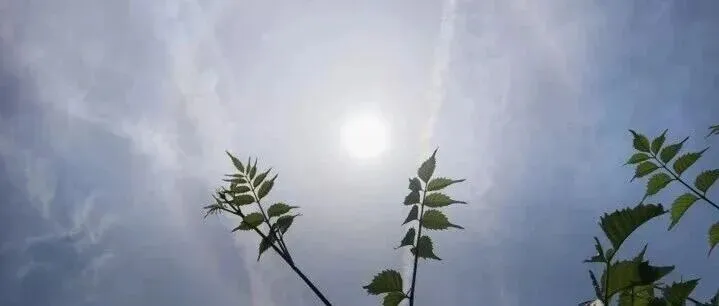 刚刚,杭州市教育局发布多项中考政策 第8张