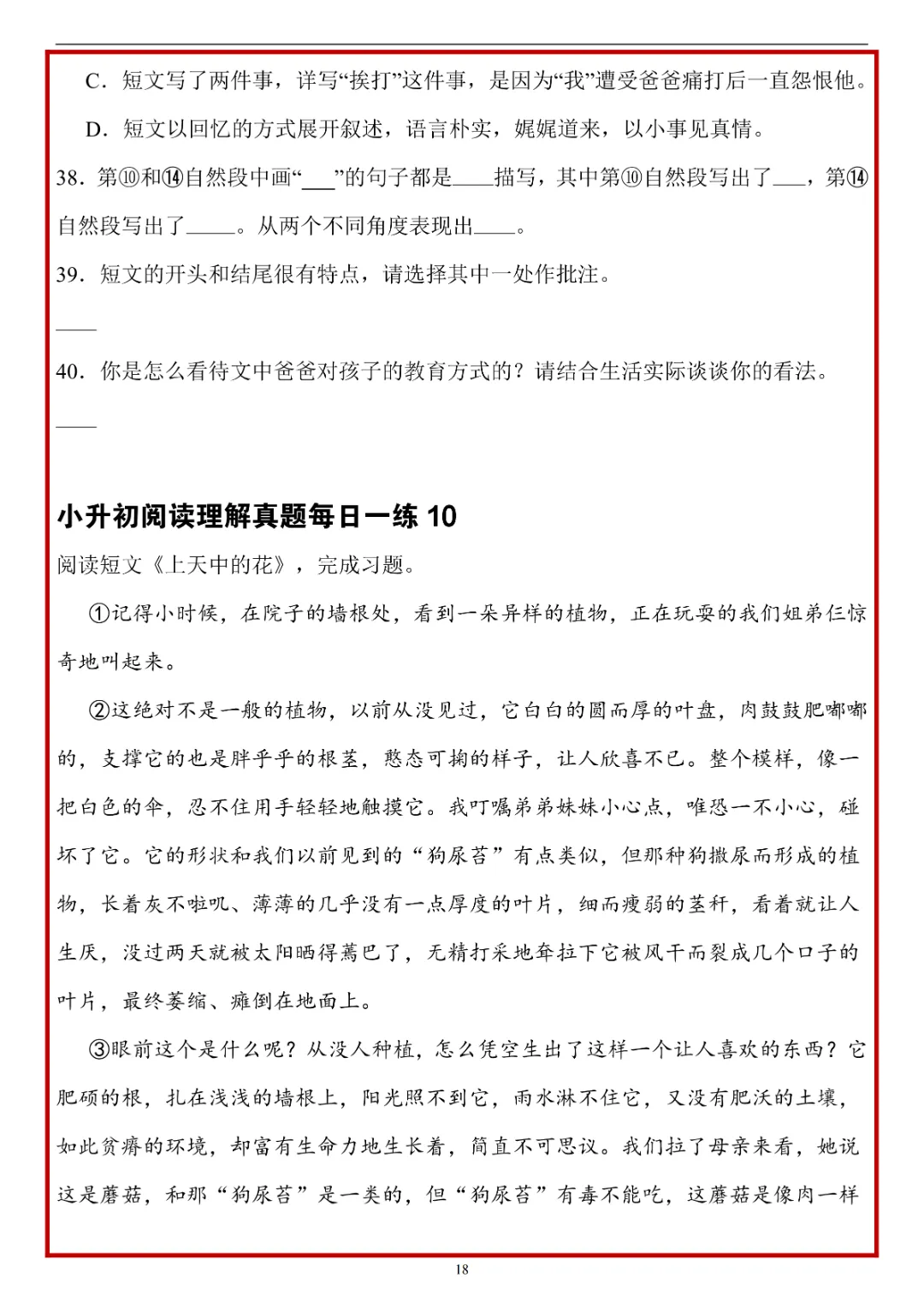 26春六年级下册语文 《小升初阅读理解真题每日一练》(附答案)完整电子版可打印 第20张