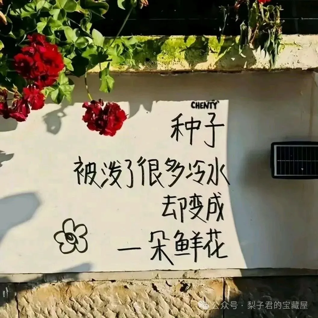 【2026版】中考数学提分!一次函数60个常考的重难点题型 第8张