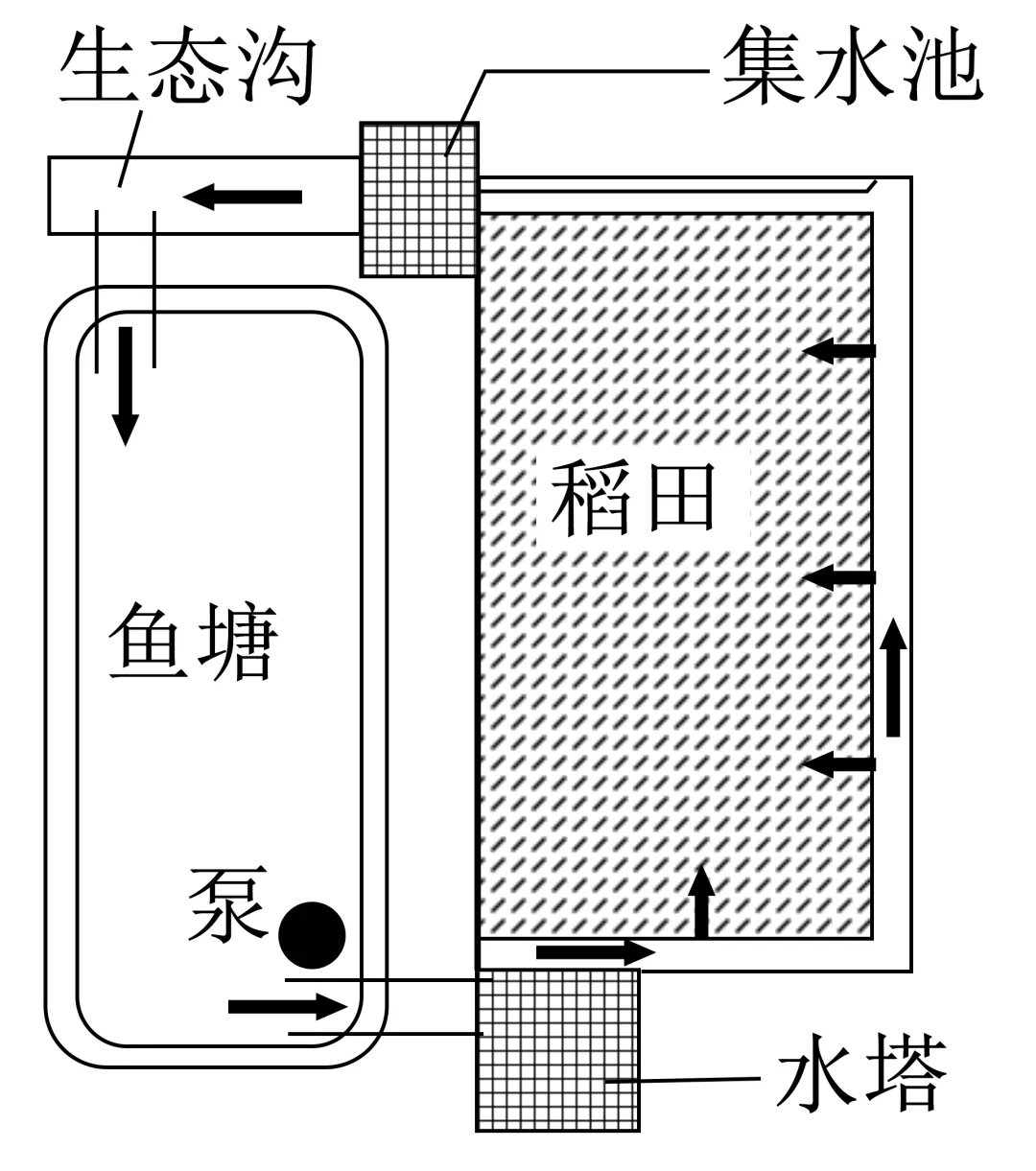 【高考真题】2025年福建卷生物试题 第2张