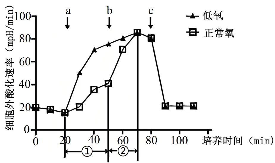 【高考真题】2025年福建卷生物试题 第3张