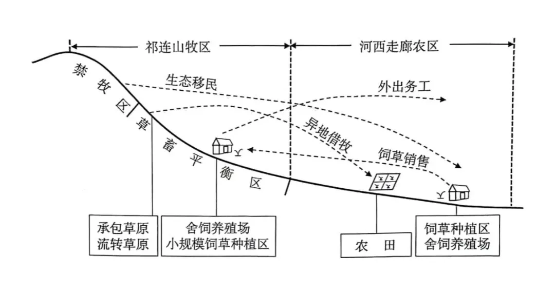 打卡高考真题 牧区—农区协同发展模式 第1张