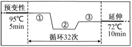 2026年高考第二次模拟考试(黑吉辽蒙专用)学易金卷02-生物学试题和答案(附word下载) ⊙ 第7张
