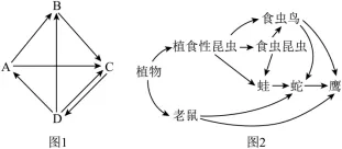 2026年高考第二次模拟考试(黑吉辽蒙专用)学易金卷02-生物学试题和答案(附word下载) ⊙ 第17张