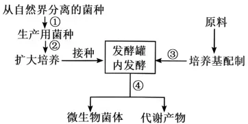 2026年高考第二次模拟考试(黑吉辽蒙专用)学易金卷02-生物学试题和答案(附word下载) ⊙ 第19张