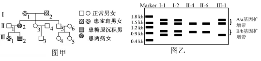 2026年高考第二次模拟考试(黑吉辽蒙专用)学易金卷02-生物学试题和答案(附word下载) ⊙ 第23张