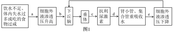 2026年高考第二次模拟考试(黑吉辽蒙专用)学易金卷02-生物学试题和答案(附word下载) ⊙ 第25张