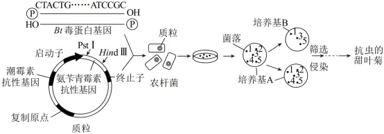 2026年高考第二次模拟考试(黑吉辽蒙专用)学易金卷02-生物学试题和答案(附word下载) ⊙ 第29张