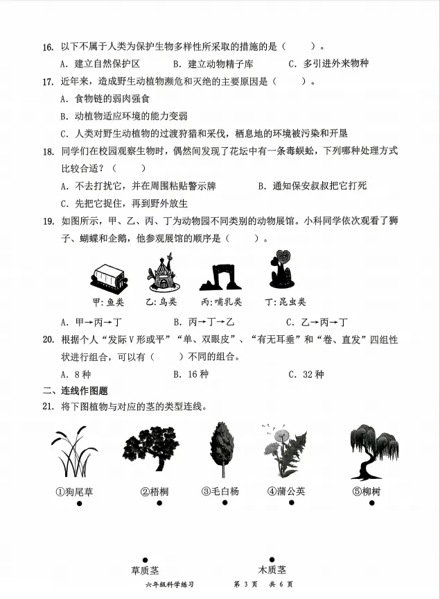 25-26罗湖区六下科学期中考试真题 第3张