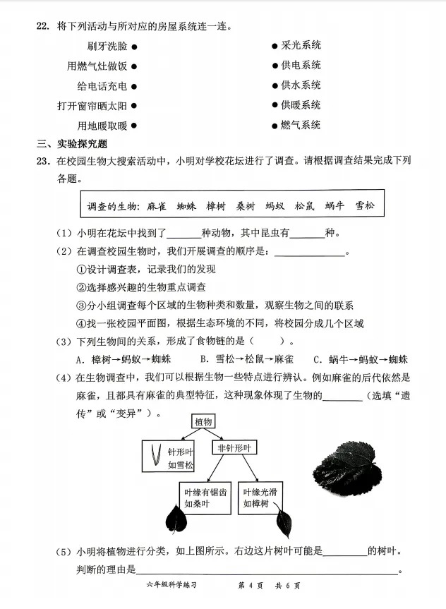 25-26罗湖区六下科学期中考试真题 第4张