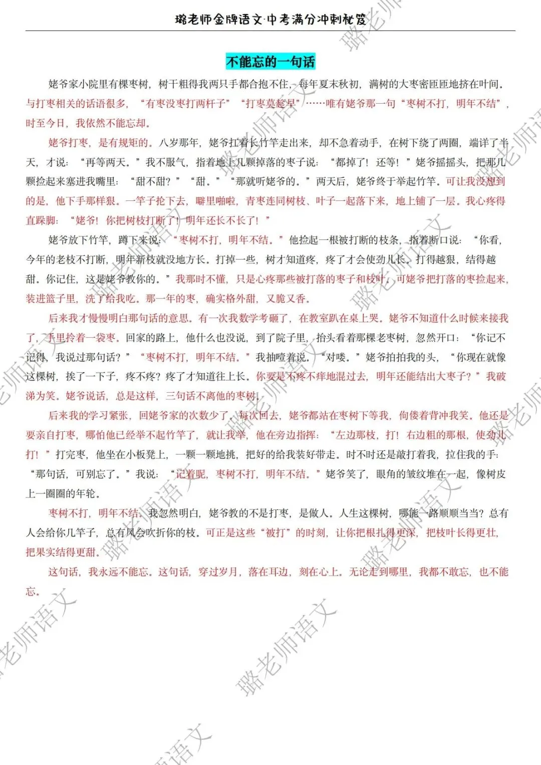 深耕一模真题,奔赴盛夏收官 第23张