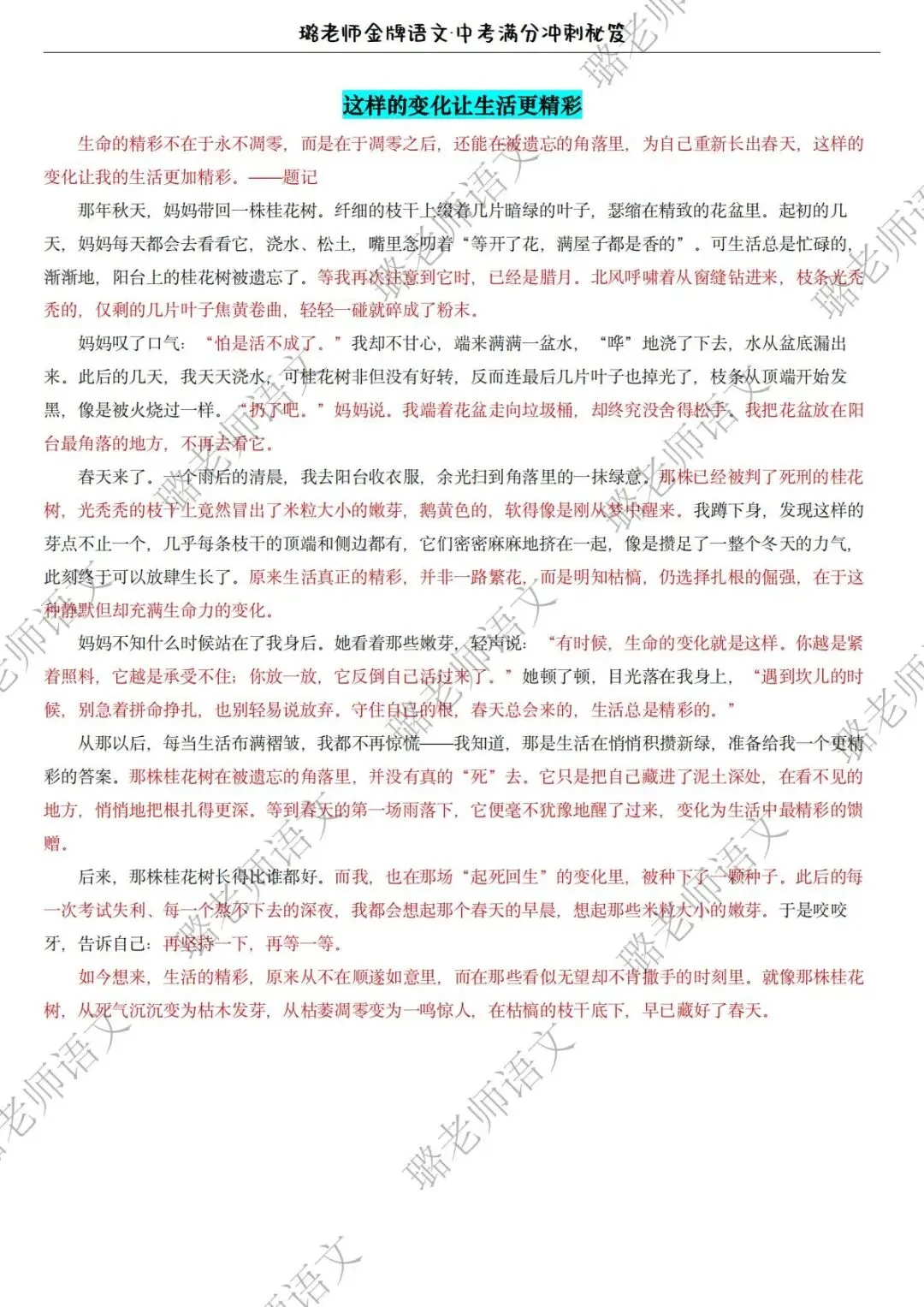 深耕一模真题,奔赴盛夏收官 第36张