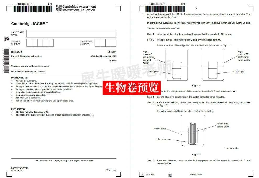 直接刷题!IGCSE真题题库大全,涵盖三大考试局:数学/生物/物理/化学/经济/英语等科目~ 第7张