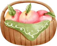 2026年中考作文命题趋势深度分析与考前指导 第21张