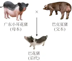 中考生物拉分关键!开放性题答题套路,告别无话可写! 第4张