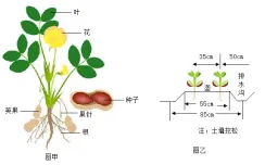 中考生物拉分关键!开放性题答题套路,告别无话可写! 第5张