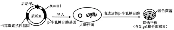 高考真题 | 每日一题(272) 第2张