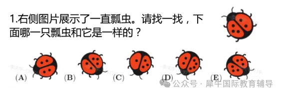 2026年袋鼠数学LevelA真题及答案解析领取!启发1-2年级数学思维 第1张