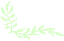 27汉硕考研 || 《现代汉语》真题打卡·day12 第4张