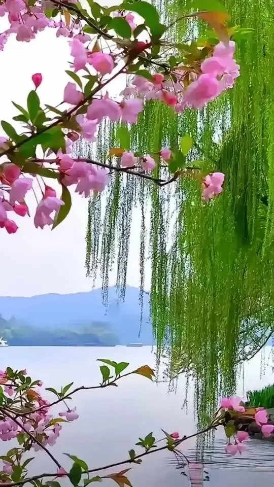湖南中考语文第二轮复习全攻略 第5张