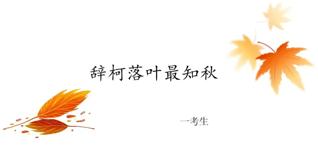 精评精析模考作文 | 现象类作文审题五步法——以2026年5月南京作文为例(附考场优作指津) 第30张