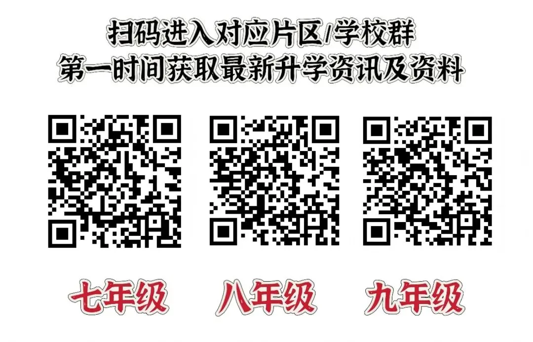 【九年级江岸区语文五调试卷】2024-2025学年度 第2张