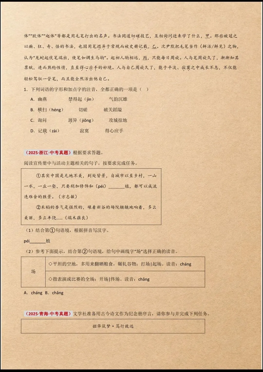 中考冲刺 | 2026年中考语文一轮专项复习 全国通用 (电子版可打印) 第9张