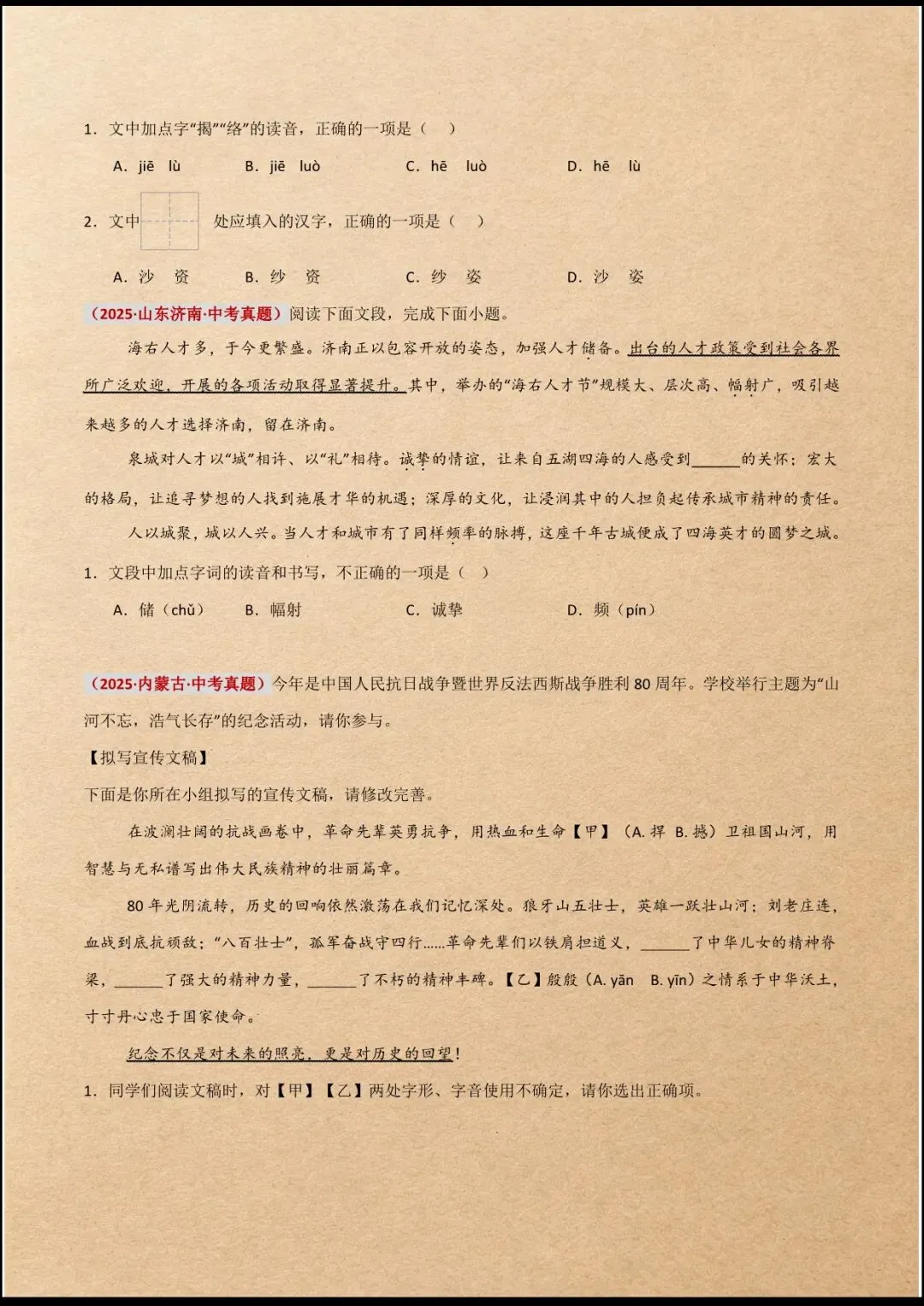 中考冲刺 | 2026年中考语文一轮专项复习 全国通用 (电子版可打印) 第11张