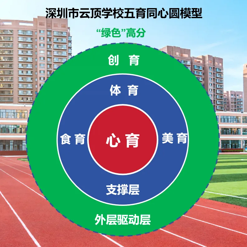 中考300+还能冲本科?深圳家长别选错路 第33张