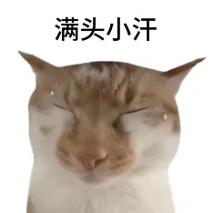 保研机试|42所院校计算机保研机试真题手册 第2张