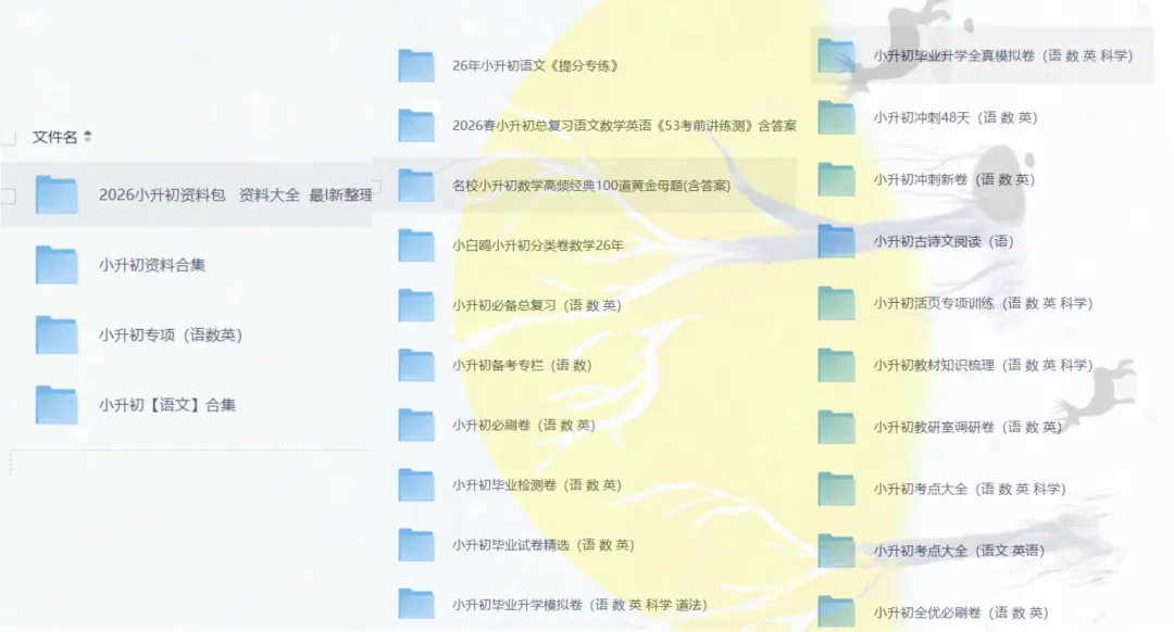 【小升初复习】 2026年小升初复习试卷资料,模拟卷+押题卷+预测卷+考前冲刺卷+必刷卷、考点汇总、考前冲刺合集,PDF可下载 第1张