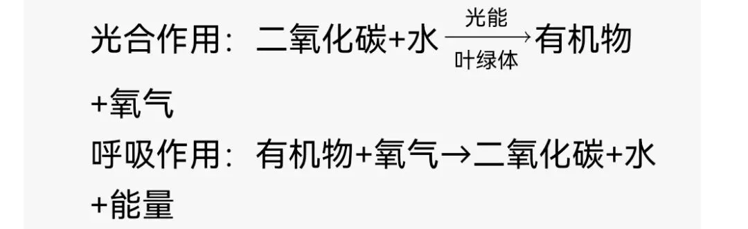 中考生物「碳中和」高频考点梳理,一文搞定中考出题套路! 第4张