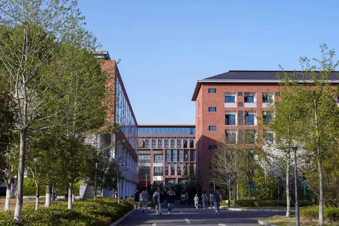 中考没进优高,三年后考上985、211名校!杭州男生总结逆袭规律,只因做对这件事 第12张