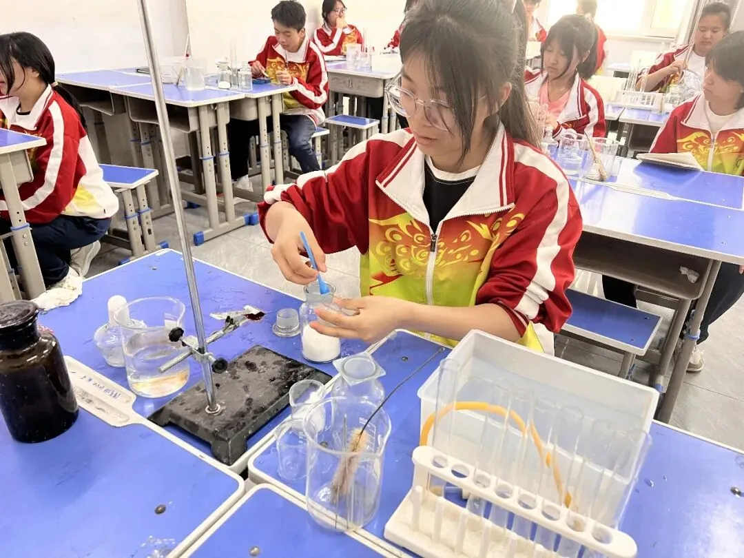 以练促考强技能 凝心备战筑根基——成功中考二校开展理化生实验备考专项训练 第7张