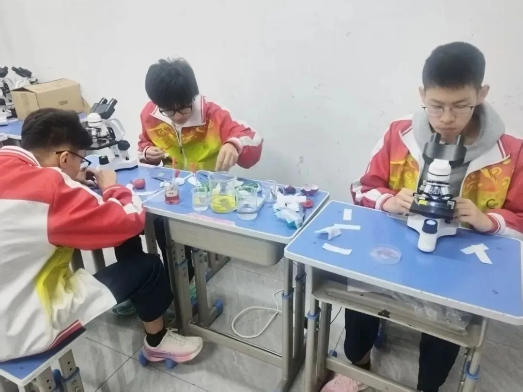 以练促考强技能 凝心备战筑根基——成功中考二校开展理化生实验备考专项训练 第12张