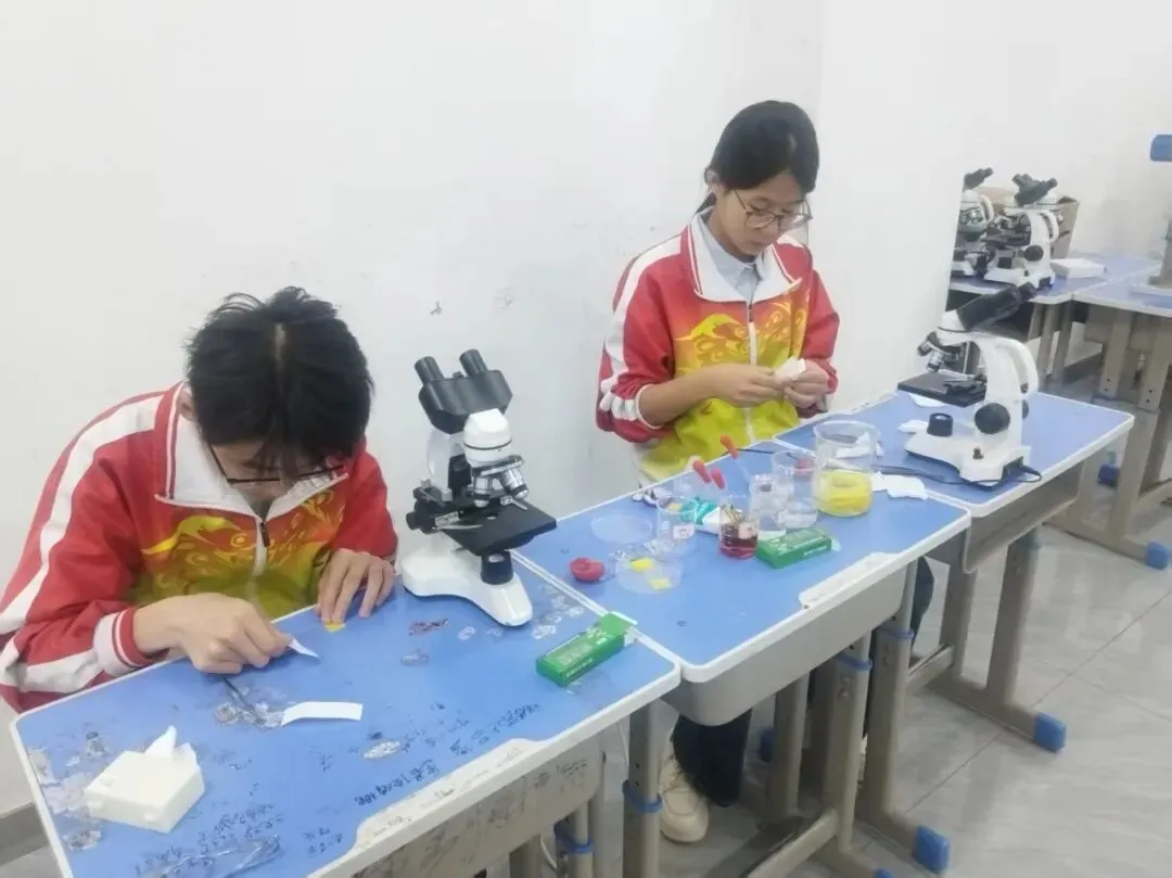 以练促考强技能 凝心备战筑根基——成功中考二校开展理化生实验备考专项训练 第13张