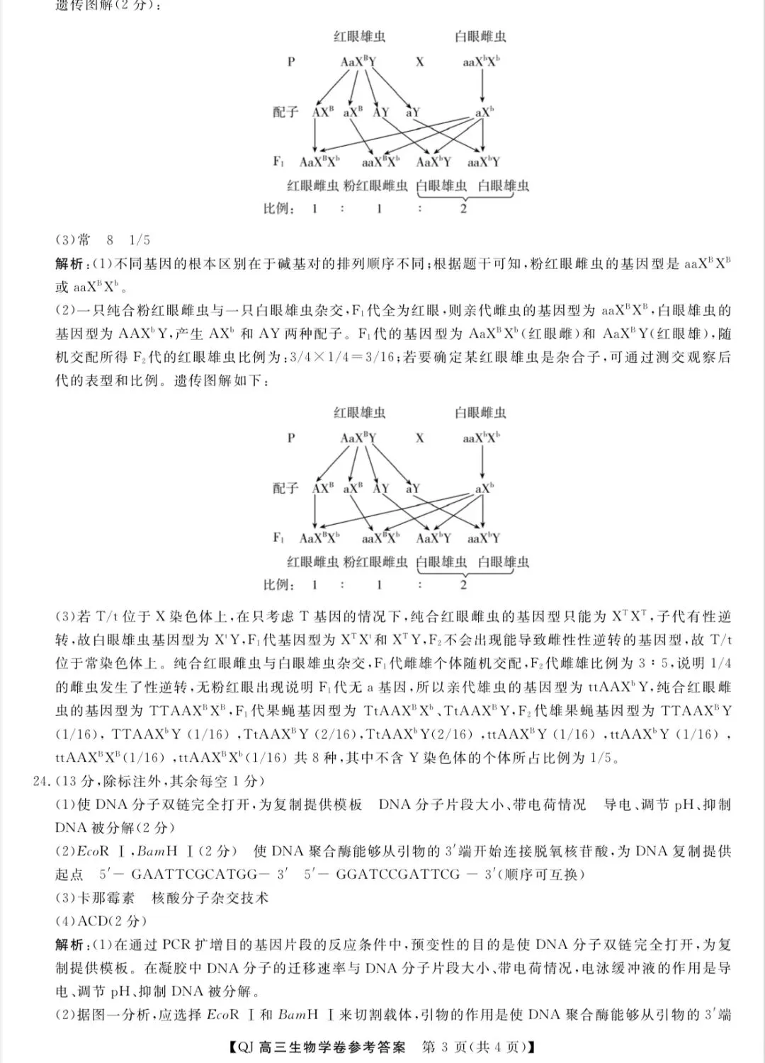 2026年5月浙江强基联盟高三生物试卷、答案和全卷解析 第10张