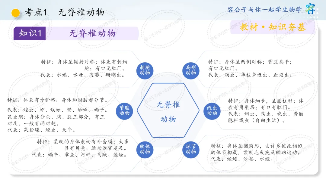 初中生物学中考一轮复习课件《第4讲 动物的类群》 第4张