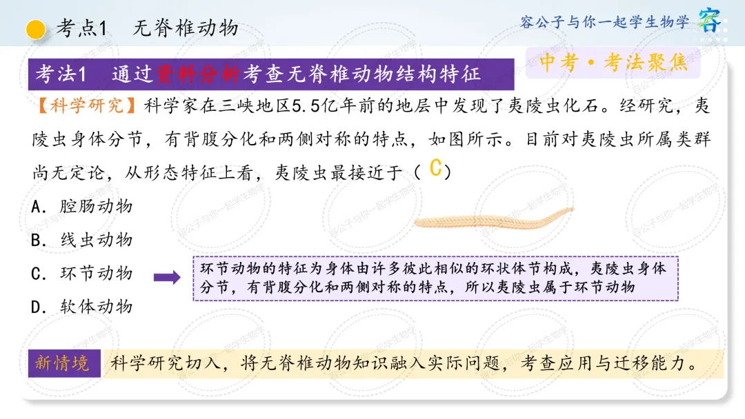 初中生物学中考一轮复习课件《第4讲 动物的类群》 第5张