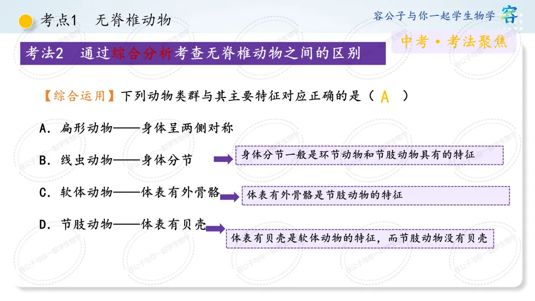 初中生物学中考一轮复习课件《第4讲 动物的类群》 第7张